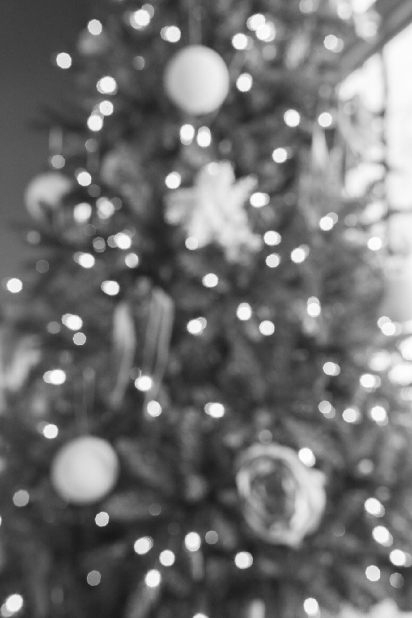 THE HOLIDAY EDIT Manor Design the-holiday-edit-manor-design